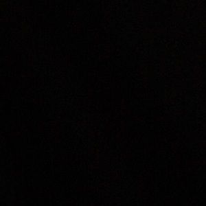 Meet your Posher, Javughn